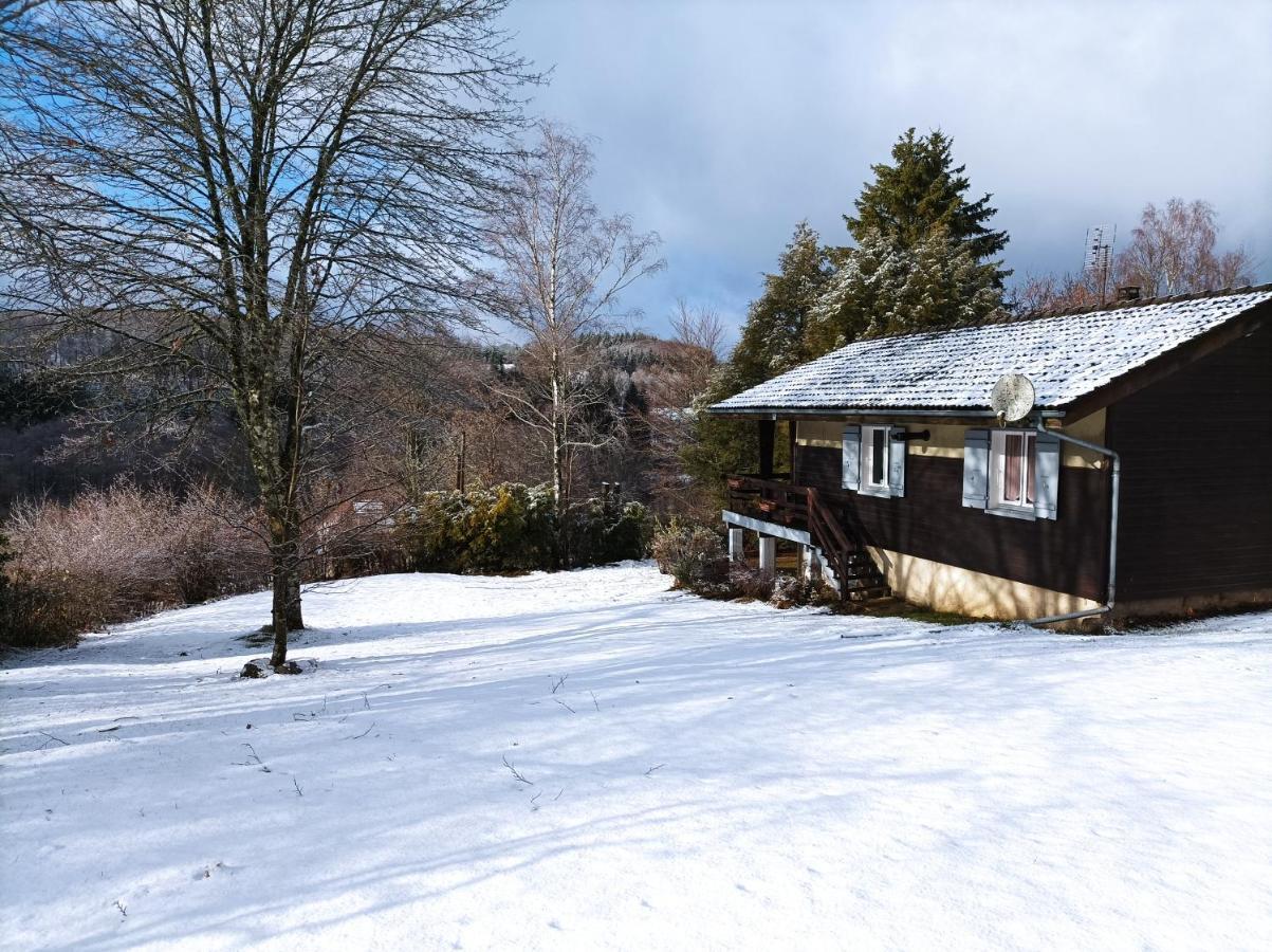 Chalet Deux Chambres Au Calme Saint-Brisson エクステリア 写真